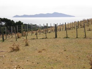 Kapiti from Pukerua Bay