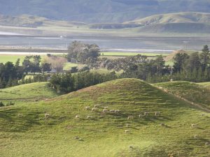 Scarborough Flaxbourne Soil Conservation Project