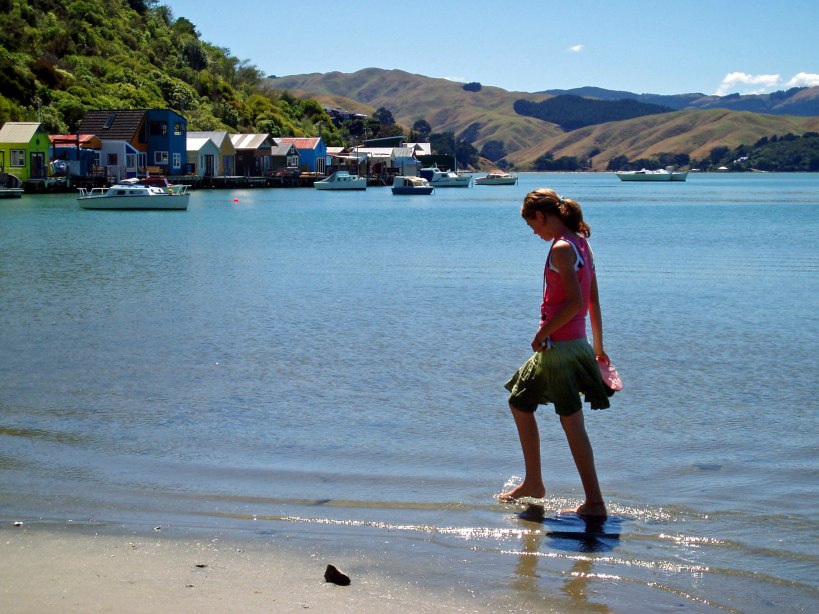 Pauatahanui Inlet, Porirua, New Zealand Photo: Robyn Moore