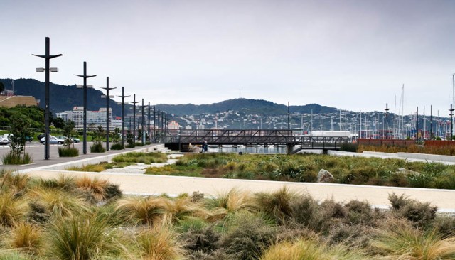 Waitangi Park Wellington Aotearoa NZ - Indigenous vegetation - Image via WA landscape architects