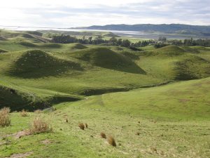 Avery farm, Bonaveree, New Zealand