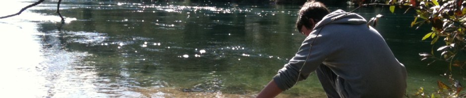 Lake Taupo - cleaning up its act