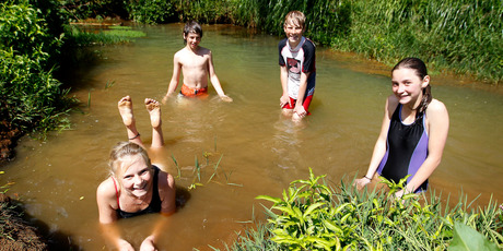 Kids at the creek - Manawaru School children play in a much cleaner stream thanks to their Enviroschool project 